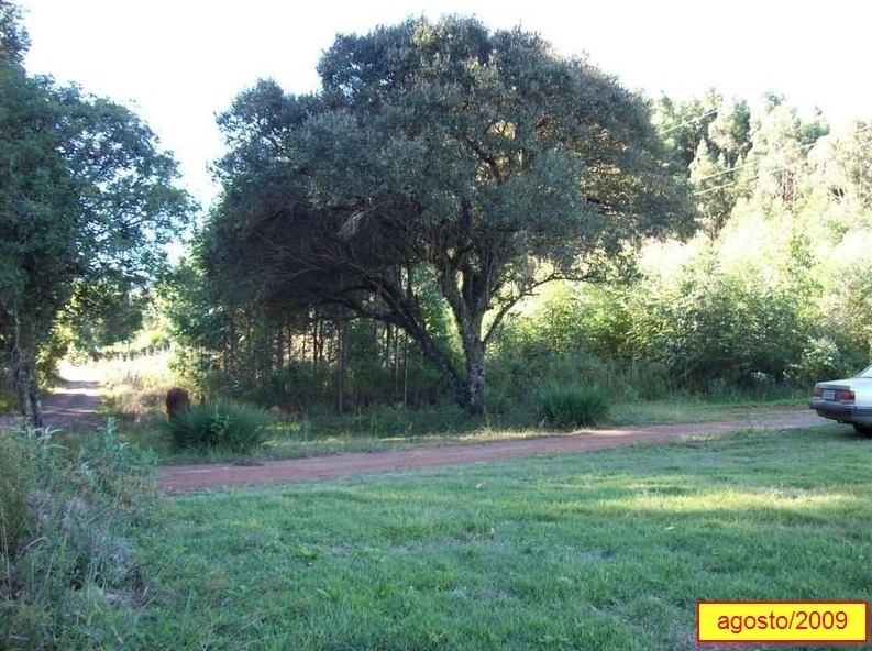 null: 3ª foto da galeria de imagens do imóvel
