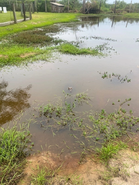 Sobrado alto padrão no Condomínio Marítimo em Tramandaí: 43ª foto da galeria de imagens do imóvel