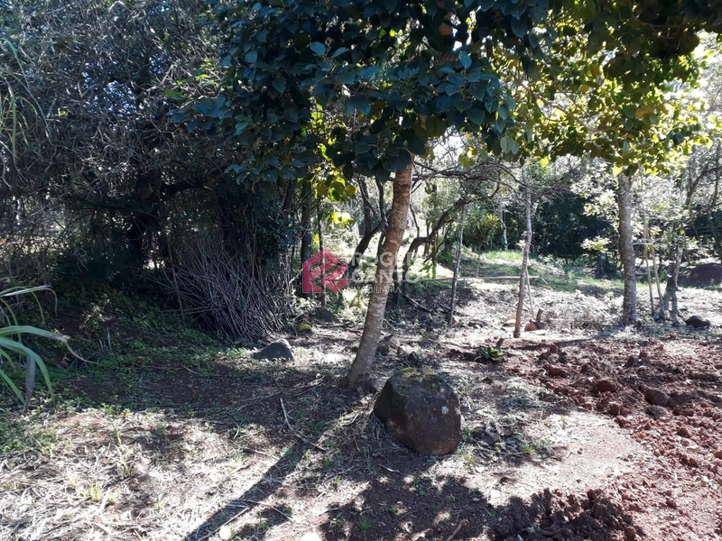 null: 5ª foto da galeria de imagens do imóvel