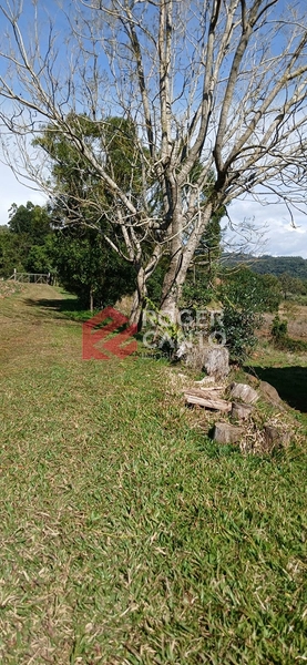 LINDO SITÍO: 9ª foto da galeria de imagens do imóvel