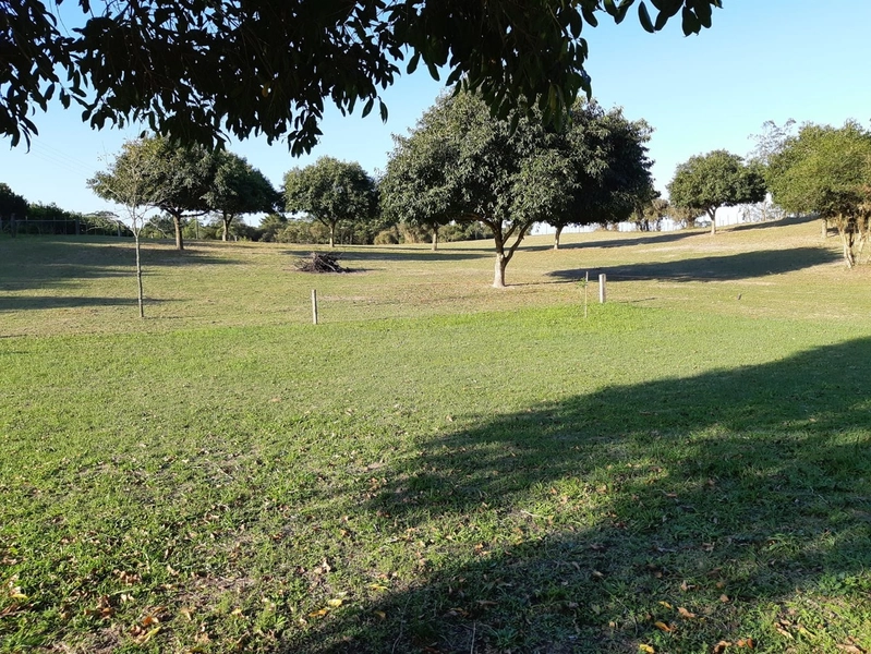 Maravilhoso sítio no Palmital, 3 hectares!: 6ª foto da galeria de imagens do imóvel