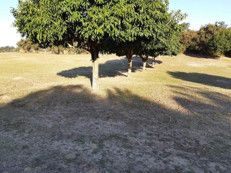 Maravilhoso sítio no Palmital, 3 hectares!: 3ª foto da galeria de imagens do imóvel