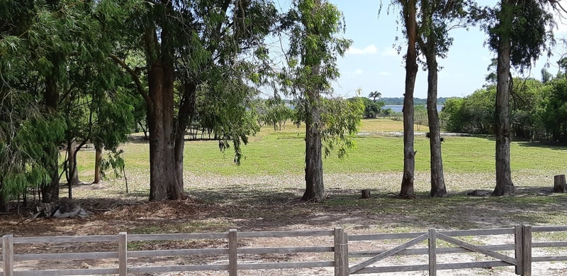 Maravilhoso sítio no Palmital, 3 hectares!: 8ª foto da galeria de imagens do imóvel