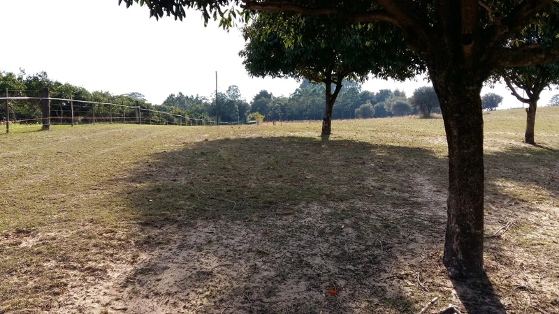 Maravilhoso sítio no Palmital, 3 hectares!: 1ª foto da galeria de imagens do imóvel
