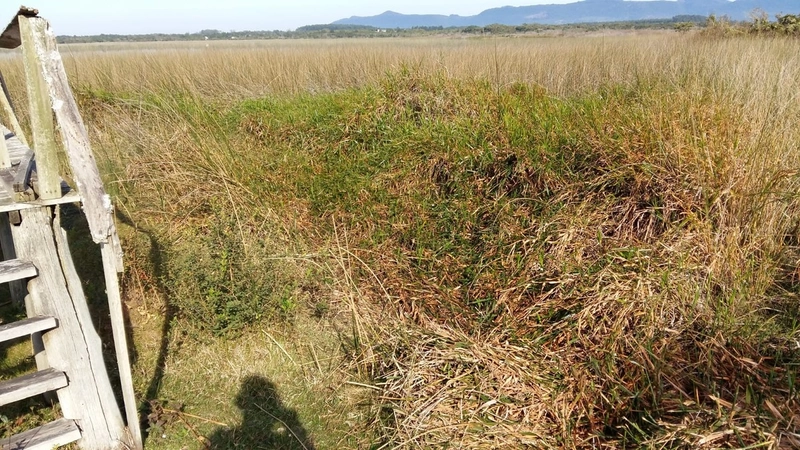 Maravilhoso sítio no Palmital, 3 hectares!: 15ª foto da galeria de imagens do imóvel