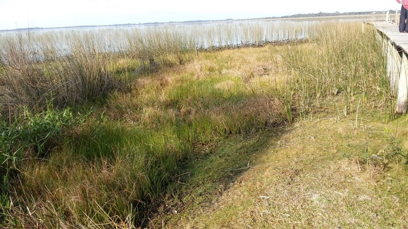 Maravilhoso sítio no Palmital, 3 hectares!: 16ª foto da galeria de imagens do imóvel