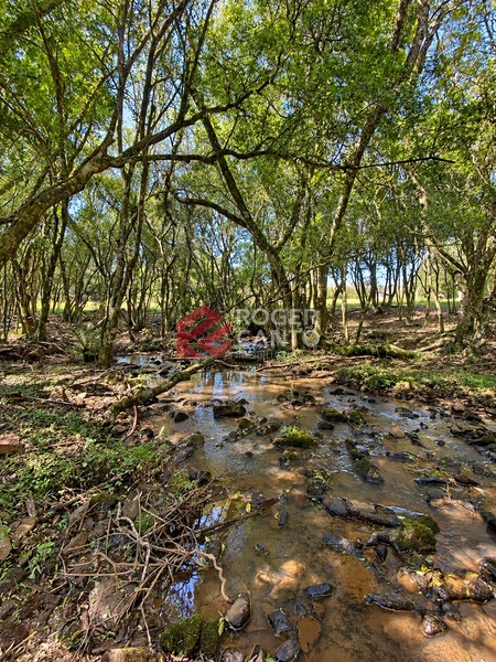 null: 3ª foto da galeria de imagens do imóvel