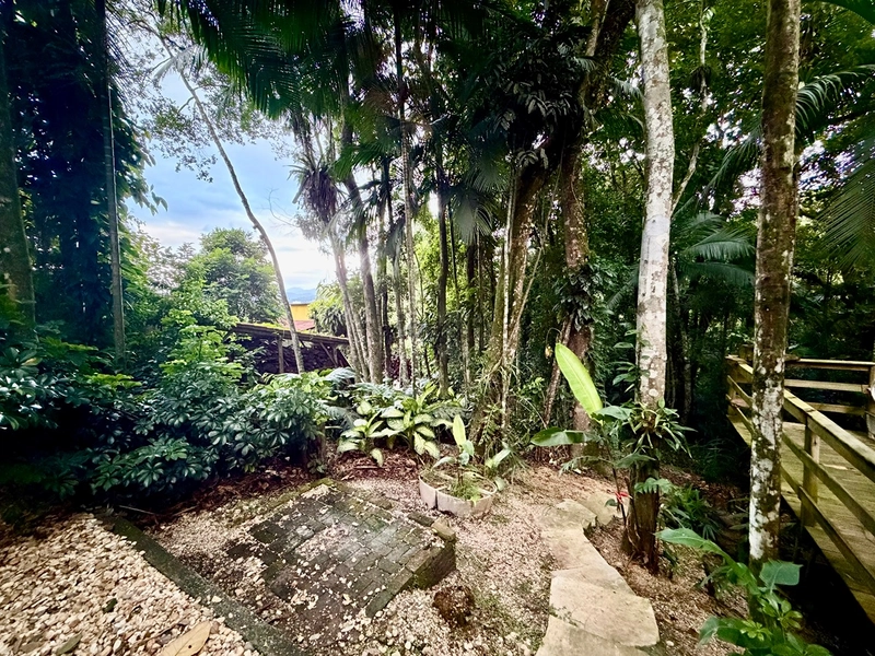 Um Verdadeiro Refúgio no Centro da Cidade: 34ª foto da galeria de imagens do imóvel