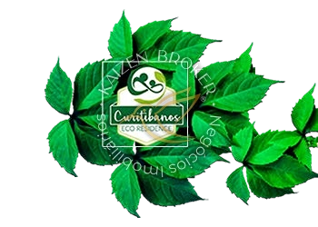 5ª foto do condomínio