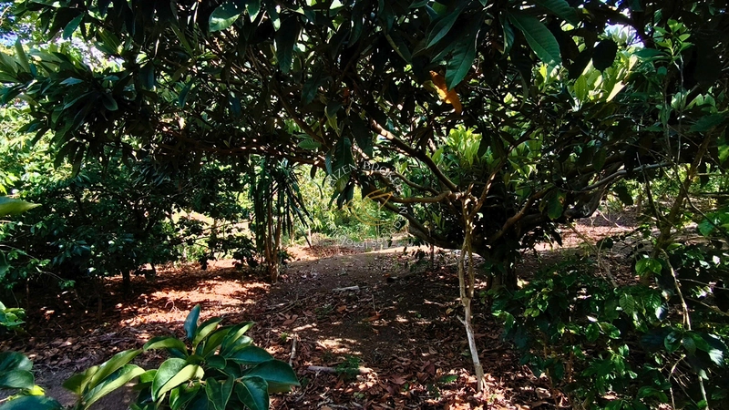 🏡 Seu Paraíso: Chácara Completa com Piscina e Água de Mina em Pedra Bela/SP! ✨: 17ª foto da galeria de imagens do imóvel