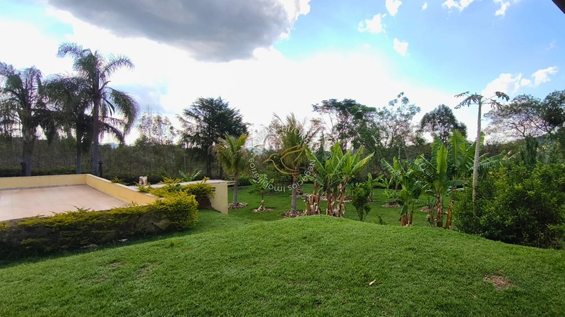 🏡 Seu Paraíso: Chácara Completa com Piscina e Água de Mina em Pedra Bela/SP! ✨: 27ª foto da galeria de imagens do imóvel