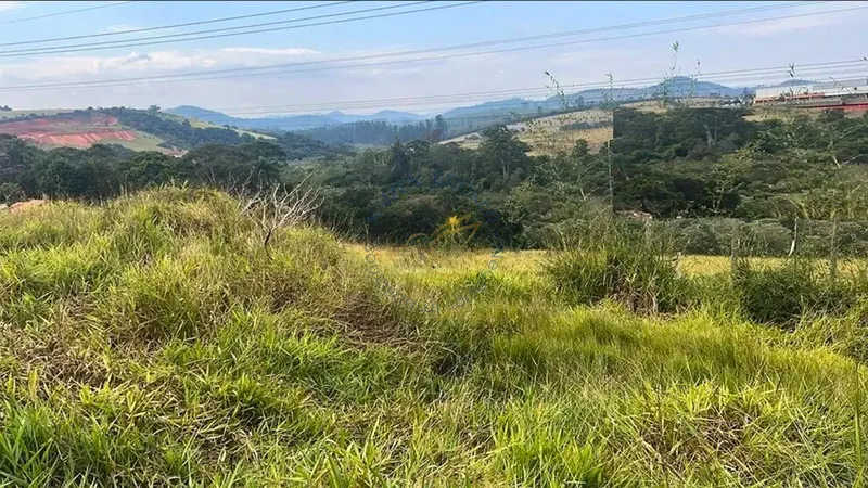 Área industrial à venda em Bragança Paulista/SP. 48.795m² na Rodovia Capitão Barduino. Ideal para galpões, logística, indústrias e centros comerciais. Investimento seguro!: 3ª foto da galeria de imagens do imóvel