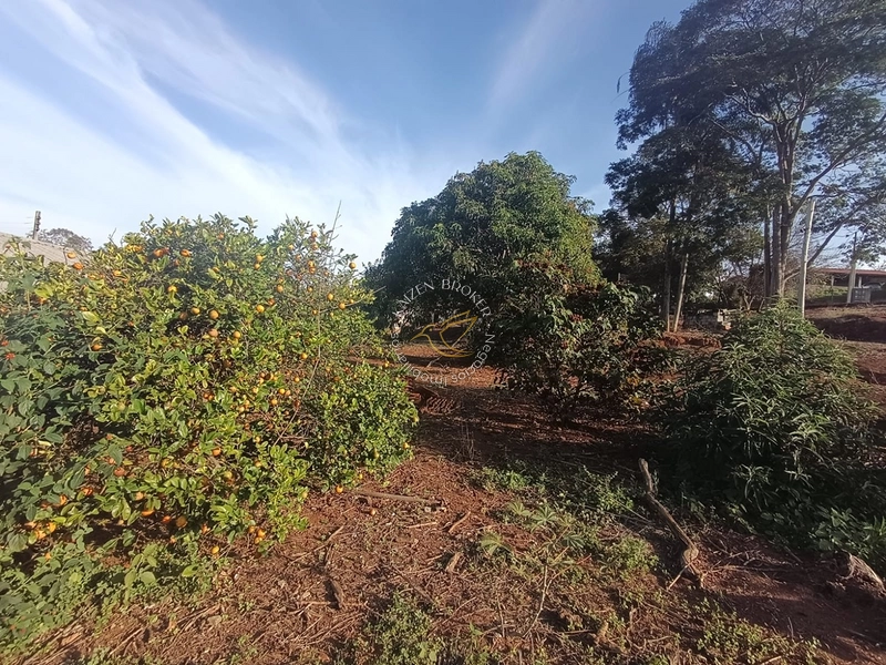 Chácara à venda em Água Comprida – Bragança Paulista/SP. 3.000m² com casa de 2 dormitórios, espaço para lazer, horta ou cultivo. Tranquilidade e natureza perto da cidade!: 32ª foto da galeria de imagens do imóvel