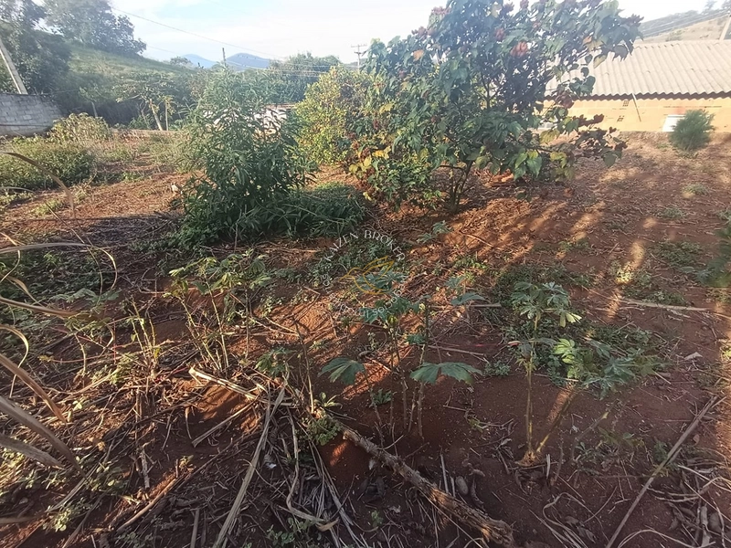 Chácara à venda em Água Comprida – Bragança Paulista/SP. 3.000m² com casa de 2 dormitórios, espaço para lazer, horta ou cultivo. Tranquilidade e natureza perto da cidade!: 28ª foto da galeria de imagens do imóvel