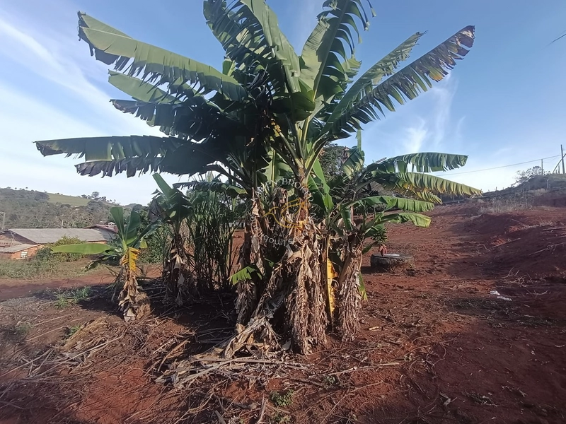 Chácara à venda em Água Comprida – Bragança Paulista/SP. 3.000m² com casa de 2 dormitórios, espaço para lazer, horta ou cultivo. Tranquilidade e natureza perto da cidade!: 34ª foto da galeria de imagens do imóvel