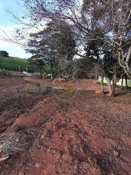 Chácara à venda em Água Comprida – Bragança Paulista/SP. 3.000m² com casa de 2 dormitórios, espaço para lazer, horta ou cultivo. Tranquilidade e natureza perto da cidade!: 10ª foto da galeria de imagens do imóvel