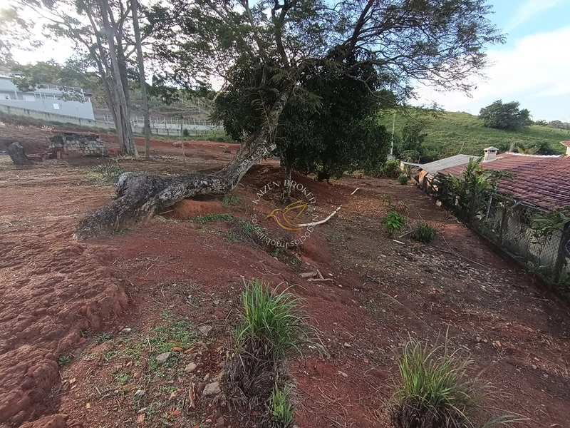 Chácara à venda em Água Comprida – Bragança Paulista/SP. 3.000m² com casa de 2 dormitórios, espaço para lazer, horta ou cultivo. Tranquilidade e natureza perto da cidade!: 20ª foto da galeria de imagens do imóvel
