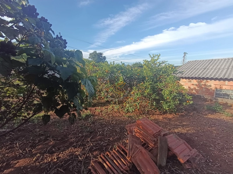 Chácara à venda em Água Comprida – Bragança Paulista/SP. 3.000m² com casa de 2 dormitórios, espaço para lazer, horta ou cultivo. Tranquilidade e natureza perto da cidade!: 31ª foto da galeria de imagens do imóvel