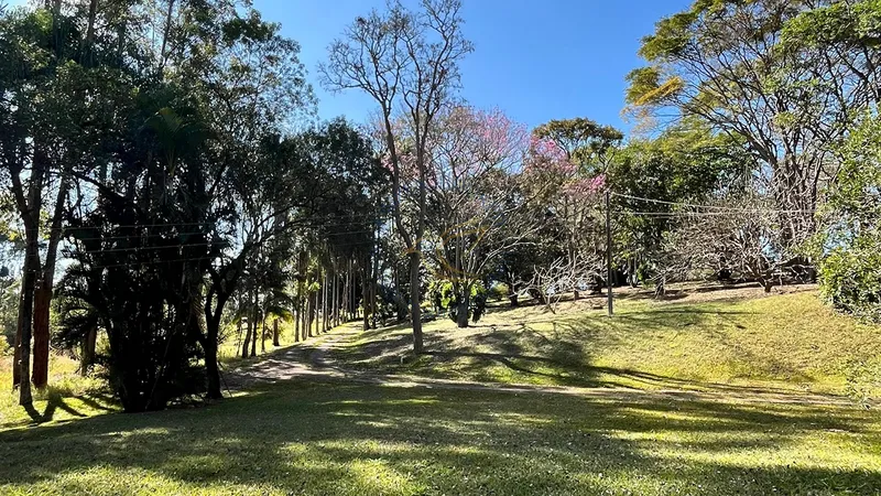 Imóvel rural em Bragança Paulista com estrutura completa, acesso asfaltado, poço semi-artesiano e alto potencial de valorização.: 19ª foto da galeria de imagens do imóvel