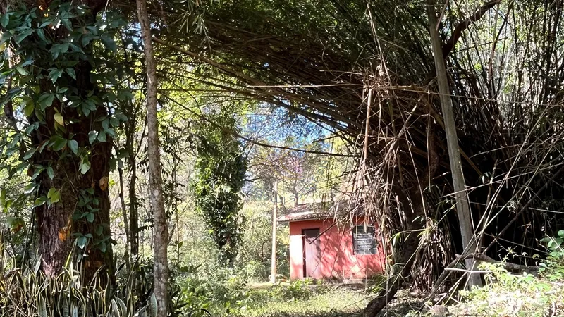 Imóvel rural em Bragança Paulista com estrutura completa, acesso asfaltado, poço semi-artesiano e alto potencial de valorização.: 24ª foto da galeria de imagens do imóvel
