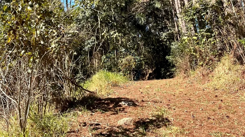Imóvel rural em Bragança Paulista com estrutura completa, acesso asfaltado, poço semi-artesiano e alto potencial de valorização.: 22ª foto da galeria de imagens do imóvel