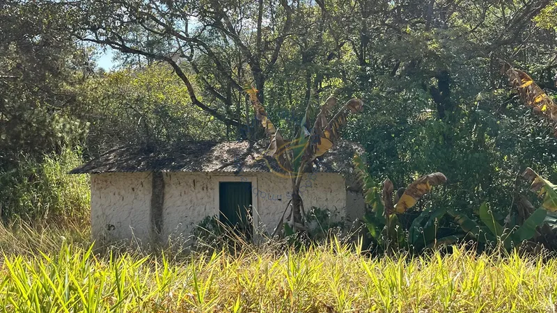 Imóvel rural em Bragança Paulista com estrutura completa, acesso asfaltado, poço semi-artesiano e alto potencial de valorização.: 23ª foto da galeria de imagens do imóvel
