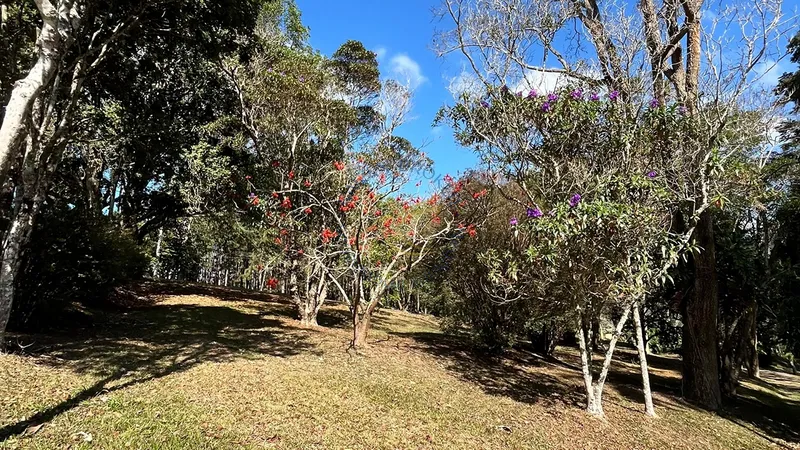 Imóvel rural em Bragança Paulista com estrutura completa, acesso asfaltado, poço semi-artesiano e alto potencial de valorização.: 3ª foto da galeria de imagens do imóvel
