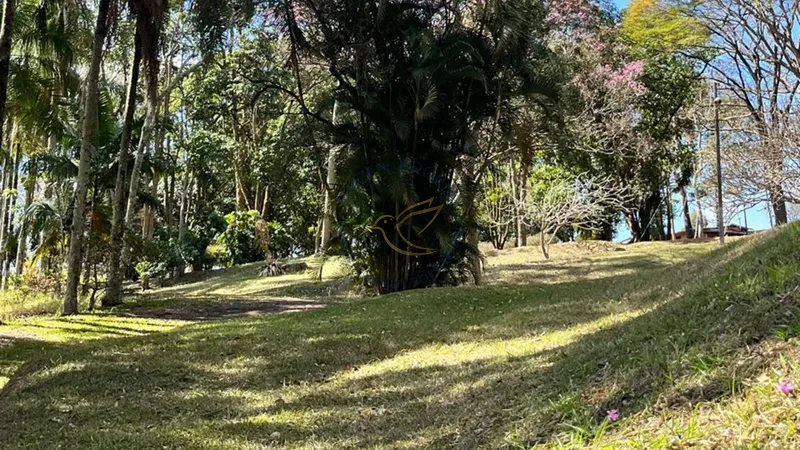 Imóvel rural em Bragança Paulista com estrutura completa, acesso asfaltado, poço semi-artesiano e alto potencial de valorização.: 31ª foto da galeria de imagens do imóvel