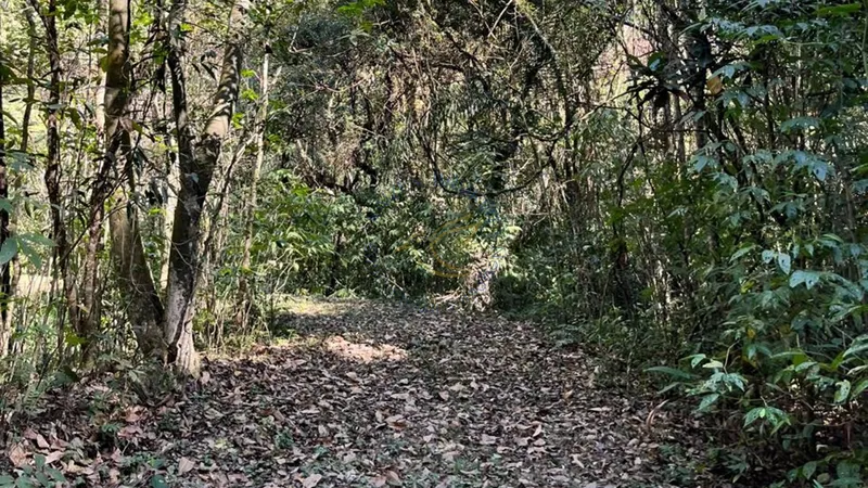 Imóvel rural em Bragança Paulista com estrutura completa, acesso asfaltado, poço semi-artesiano e alto potencial de valorização.: 27ª foto da galeria de imagens do imóvel