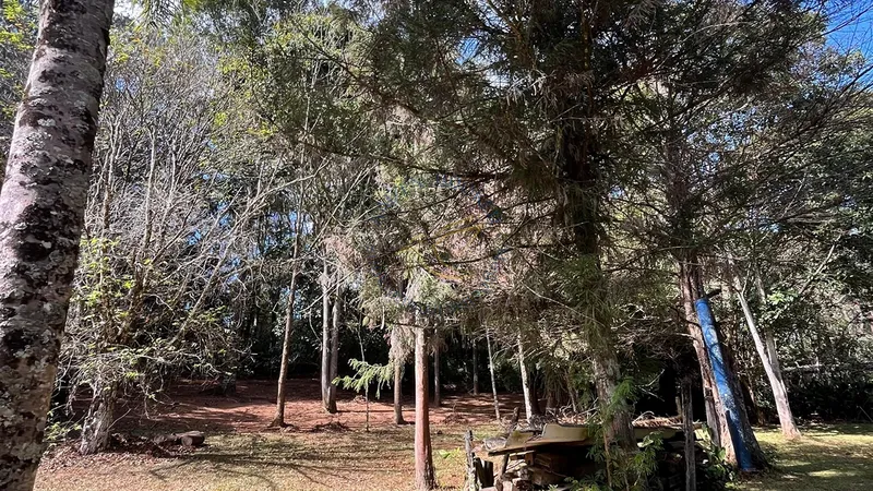 Sítio com casa sede, casa de caseiro, piscina, campo e churrasqueira em Bragança Paulista. Excelente oportunidade para investir ou morar.: 15ª foto da galeria de imagens do imóvel