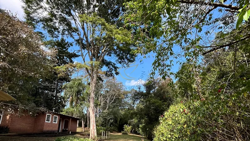 Sítio com casa sede, casa de caseiro, piscina, campo e churrasqueira em Bragança Paulista. Excelente oportunidade para investir ou morar.: 16ª foto da galeria de imagens do imóvel