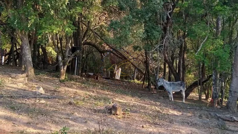 Chácara à venda em Água Comprida – Bragança Paulista/SP. 12.000m² com casa principal, casa de caseiro, bosque, campo de futebol e espaço para aves. Natureza e tranquilidade!: 2ª foto da galeria de imagens do imóvel
