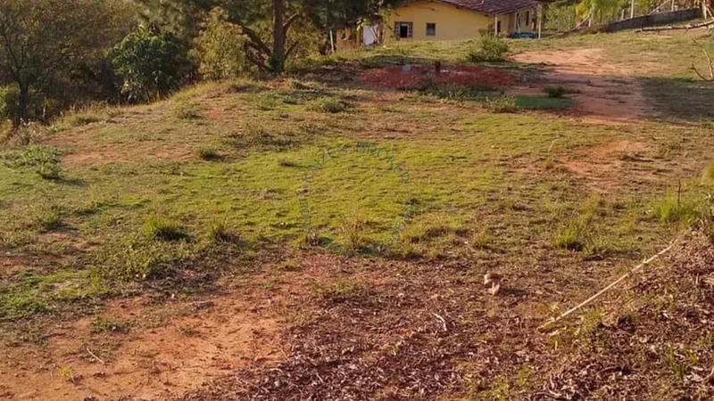 Chácara à venda em Água Comprida – Bragança Paulista/SP. 12.000m² com casa principal, casa de caseiro, bosque, campo de futebol e espaço para aves. Natureza e tranquilidade!: 10ª foto da galeria de imagens do imóvel