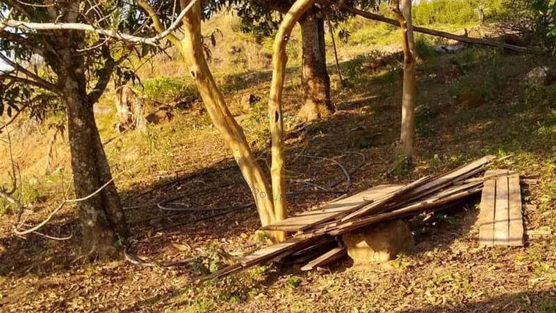Chácara à venda em Água Comprida – Bragança Paulista/SP. 12.000m² com casa principal, casa de caseiro, bosque, campo de futebol e espaço para aves. Natureza e tranquilidade!: 6ª foto da galeria de imagens do imóvel