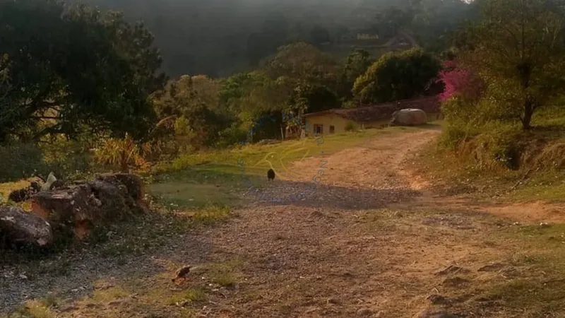 Chácara à venda em Água Comprida – Bragança Paulista/SP. 12.000m² com casa principal, casa de caseiro, bosque, campo de futebol e espaço para aves. Natureza e tranquilidade!: 3ª foto da galeria de imagens do imóvel