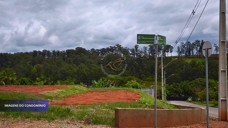 🏡🌳Lote Padrão de 1.000 M² com Topografia em Leve Declive: 13ª foto da galeria de imagens do imóvel