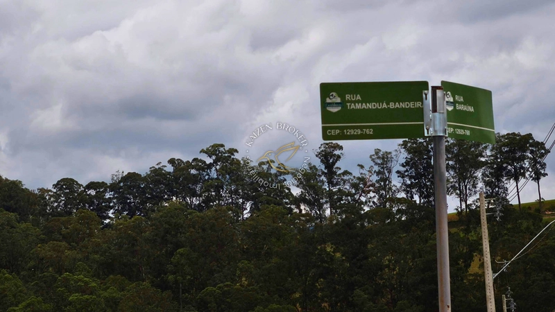 🏡🌳Lote Padrão de 1.000 M² com Topografia em Leve Declive: 14ª foto da galeria de imagens do imóvel
