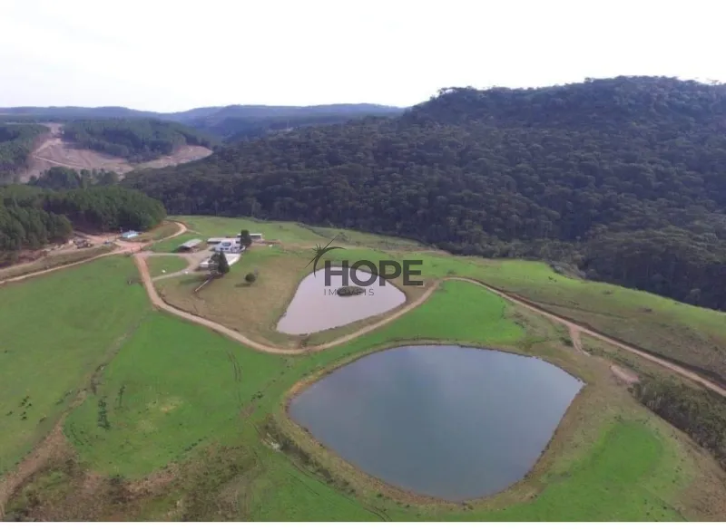 FAZENDA COM 161 HECTARES PRÓXIMO AOS CANIOS DE CAMBARÁ DO SUL!: 13ª foto da galeria de imagens do imóvel