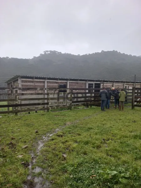 FAZENDA COM 161 HECTARES PRÓXIMO AOS CANIOS DE CAMBARÁ DO SUL!: 20ª foto da galeria de imagens do imóvel