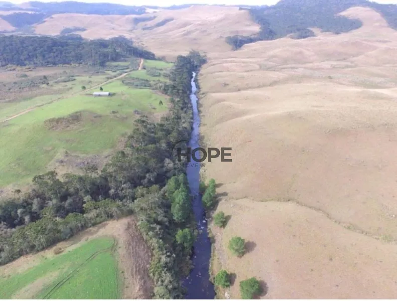 FAZENDA COM 161 HECTARES PRÓXIMO AOS CANIOS DE CAMBARÁ DO SUL!: 18ª foto da galeria de imagens do imóvel