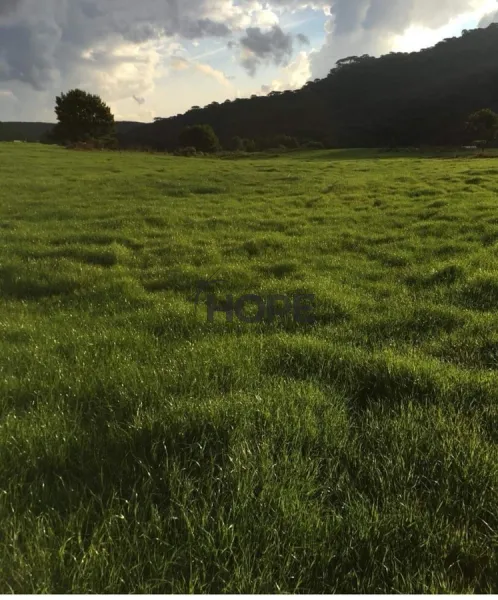 FAZENDA COM 161 HECTARES PRÓXIMO AOS CANIOS DE CAMBARÁ DO SUL!: 24ª foto da galeria de imagens do imóvel