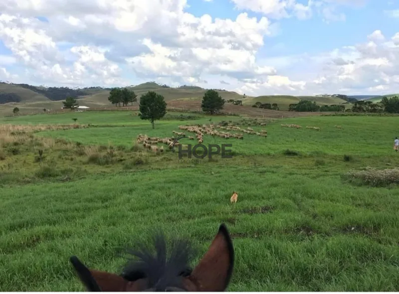 FAZENDA COM 161 HECTARES PRÓXIMO AOS CANIOS DE CAMBARÁ DO SUL!: 6ª foto da galeria de imagens do imóvel