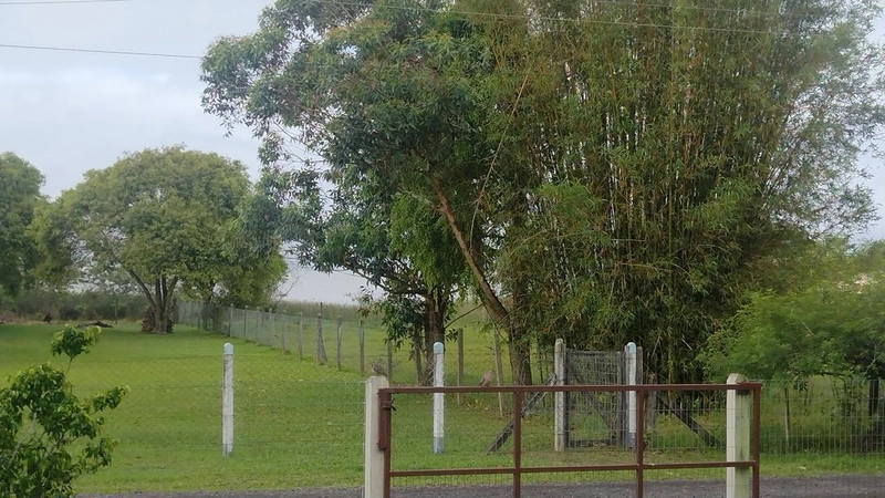 SÍTIO EM CAPÃO DA CANOA/ CORNÉLIO: 10ª foto da galeria de imagens do imóvel