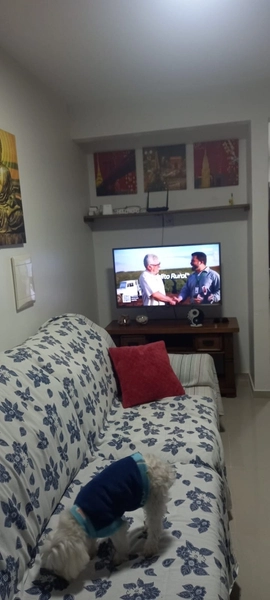 CASA COM 2 QUARTOS E UMA SUÍTE EM CAPÃO DA CANOA-RS: 1ª foto da galeria de imagens do imóvel