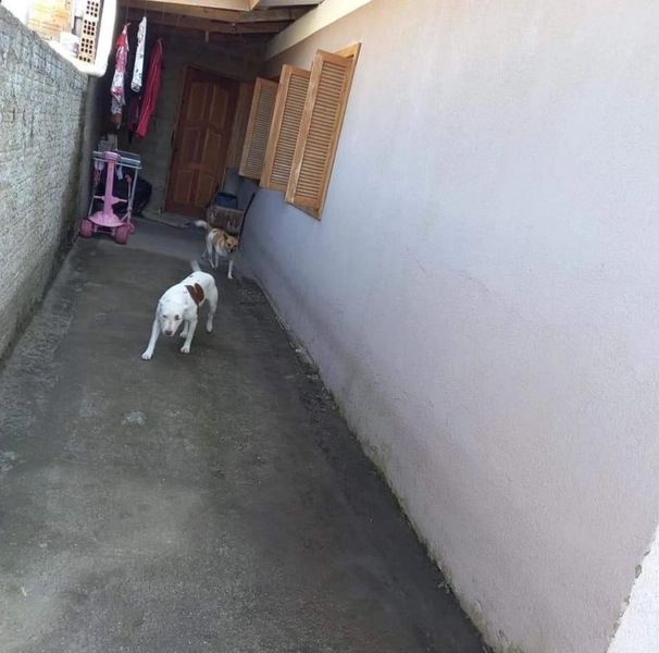 ÓTIMA CASA À VENDA EM CAPÃO DA CANOA!: 8ª foto da galeria de imagens do imóvel