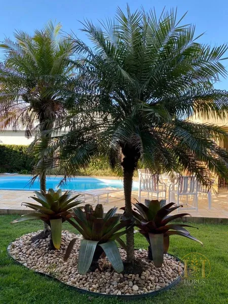 null: 34ª foto da galeria de imagens do imóvel