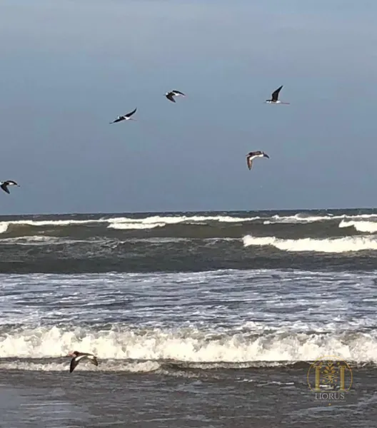 null: 15ª foto da galeria de imagens do imóvel