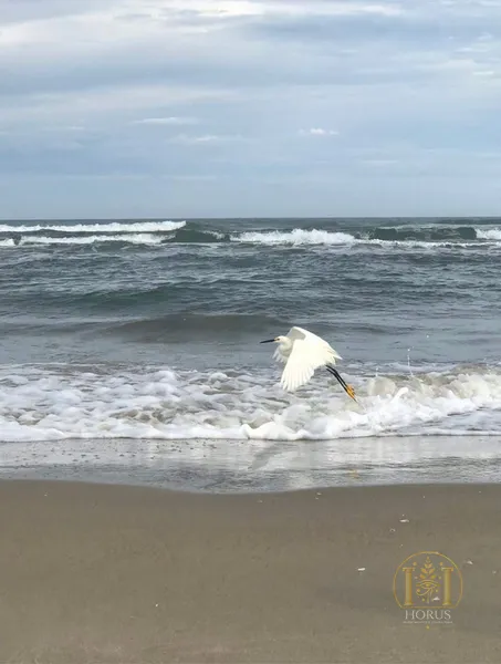 null: 11ª foto da galeria de imagens do imóvel