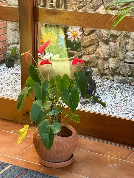 null: 9ª foto da galeria de imagens do imóvel