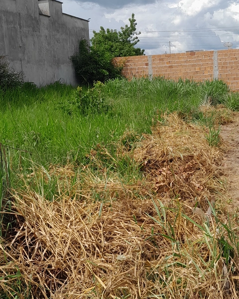 Terreno no residencial primavera : 2ª foto da galeria de imagens do imóvel